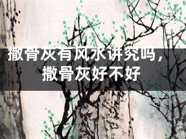 撒骨灰有风水讲究吗,撒骨灰好不好