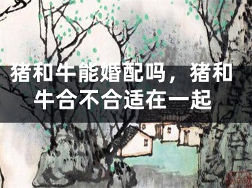 猪和牛能婚配吗，猪和牛合不合适在一起