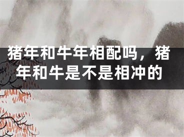 猪年和牛年相配吗,猪年和牛是不是相冲的