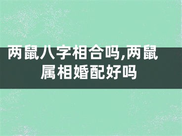 两鼠八字相合吗,两鼠属相婚配好吗