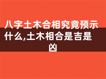 八字土木合相究竟预示什么,土木相合是吉是凶