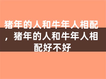 猪年的人和牛年人相配,猪年的人和牛年人相配好不好