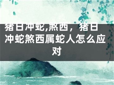 猪日冲蛇,煞西，猪日冲蛇煞西属蛇人怎么应对