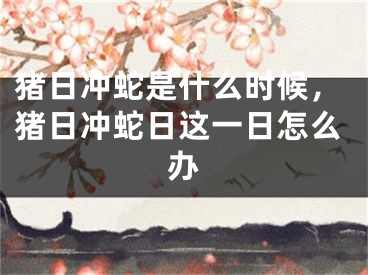 猪日冲蛇是什么时候，猪日冲蛇日这一日怎么办
