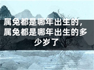 属兔都是哪年出生的,属兔都是哪年出生的多少岁了