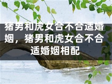 猪男和虎女合不合适婚姻，猪男和虎女合不合适婚姻相配