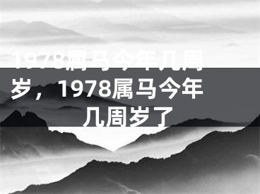 1978属马今年几周岁,1978属马今年几周岁了