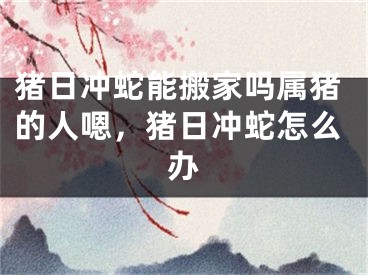 猪日冲蛇能搬家吗属猪的人嗯，猪日冲蛇怎么办
