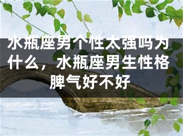 水瓶座男个性太强吗为什么，水瓶座男生性格脾气好不好