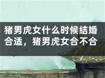 猪男虎女什么时候结婚合适，猪男虎女合不合
