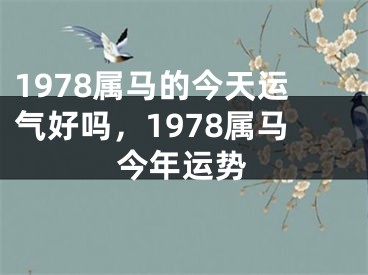 1978属马的今天运气好吗,1978属马今年运势