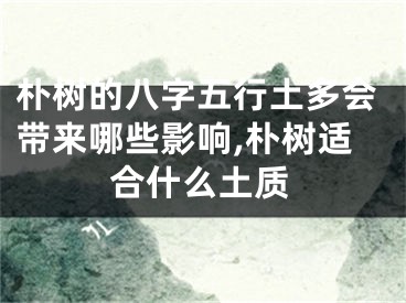 朴树的八字五行土多会带来哪些影响,朴树适合什么土质