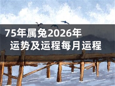 75年属兔2026年运势及运程每月运程