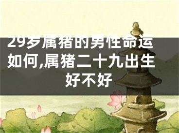 29岁属猪的男性命运如何,属猪二十九出生好不好