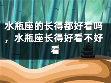 水瓶座的长得都好看吗,水瓶座长得好看不好看
