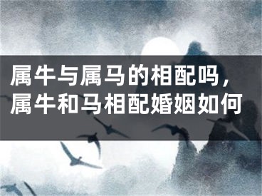 属牛与属马的相配吗,属牛和马相配婚姻如何