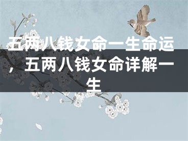 五两八钱女命一生命运,五两八钱女命详解一生