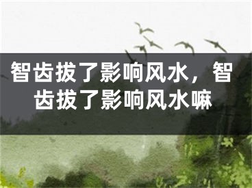智齿拔了影响风水，智齿拔了影响风水嘛