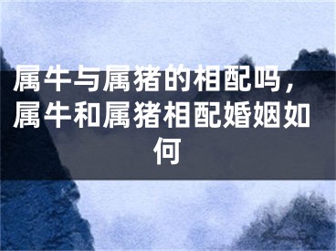 属牛与属猪的相配吗,属牛和属猪相配婚姻如何