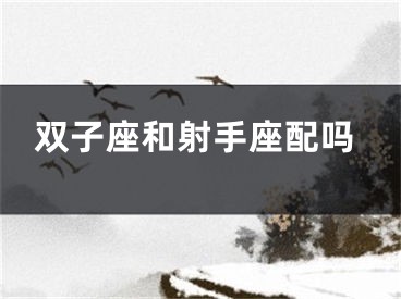 双子座和射手座配吗