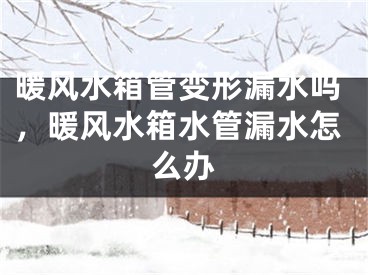 暖风水箱管变形漏水吗,暖风水箱水管漏水怎么办