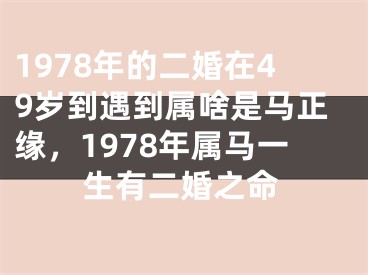 1978年的二婚在49岁到遇到属啥是马正缘，1978年属马一生有二婚之命