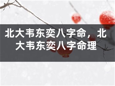 北大韦东奕八字命，北大韦东奕八字命理