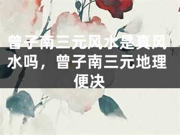 曾子南三元风水是真风水吗,曾子南三元地理便决