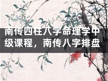 南传四柱八字命理学中级课程，南传八字排盘