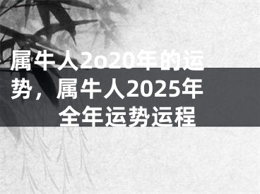 属牛人2o20年的运势,属牛人2025年全年运势运程