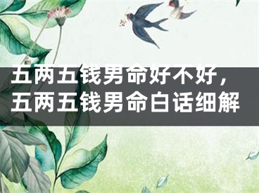五两五钱男命好不好,五两五钱男命白话细解