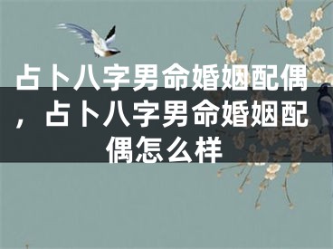 占卜八字男命婚姻配偶，占卜八字男命婚姻配偶怎么样