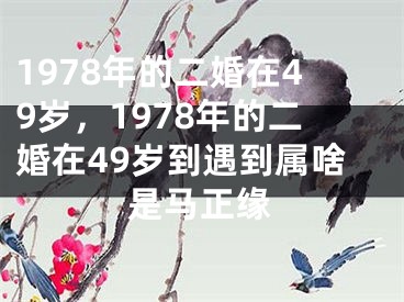1978年的二婚在49岁，1978年的二婚在49岁到遇到属啥是马正缘