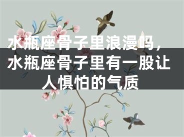 水瓶座骨子里浪漫吗,水瓶座骨子里有一股让人惧怕的气质