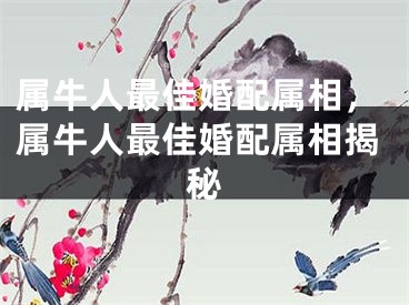 属牛人最佳婚配属相，属牛人最佳婚配属相揭秘