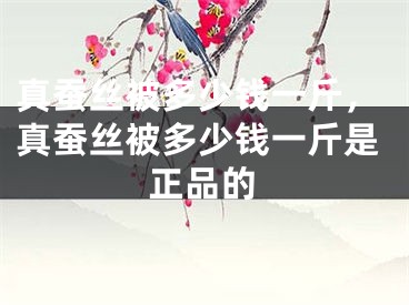 真蚕丝被多少钱一斤，真蚕丝被多少钱一斤是正品的