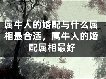 属牛人的婚配与什么属相最合适，属牛人的婚配属相最好