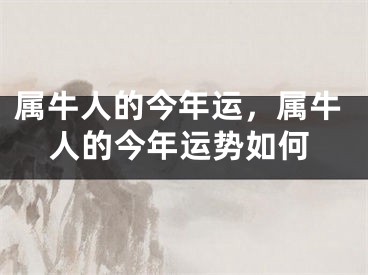 属牛人的今年运，属牛人的今年运势如何