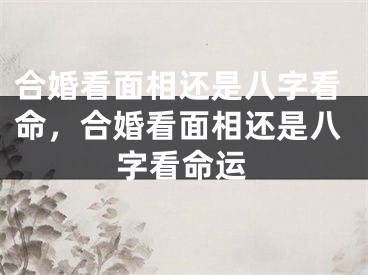 合婚看面相还是八字看命，合婚看面相还是八字看命运