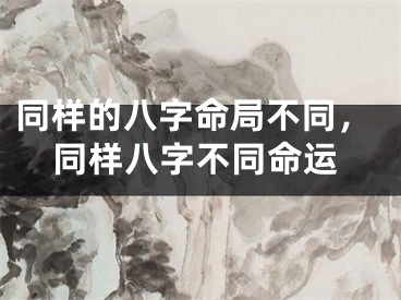 同样的八字命局不同，同样八字不同命运