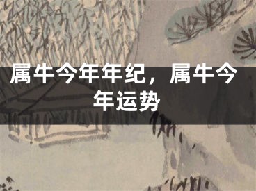 属牛今年年纪,属牛今年运势