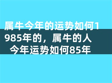 属牛今年的运势如何1985年的,属牛的人今年运势如何85年