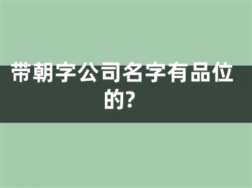 带朝字公司名字有品位的?