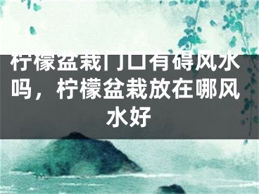 柠檬盆栽门口有碍风水吗，柠檬盆栽放在哪风水好