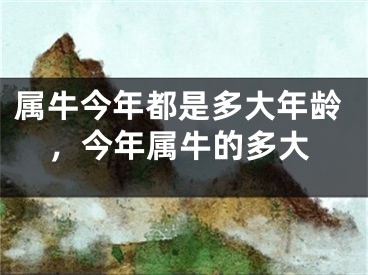 属牛今年都是多大年龄,今年属牛的多大