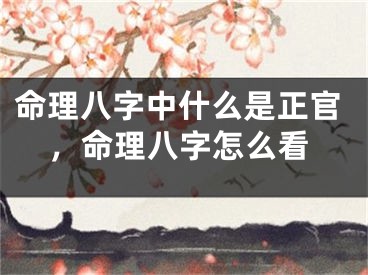 命理八字中什么是正官,命理八字怎么看