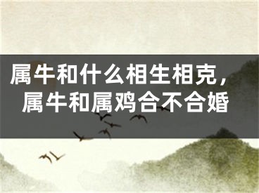 属牛和什么相生相克，属牛和属鸡合不合婚