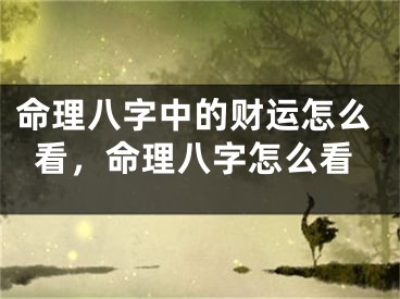 命理八字中的财运怎么看,命理八字怎么看