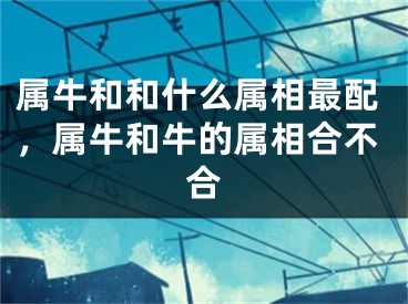 属牛和和什么属相最配,属牛和牛的属相合不合