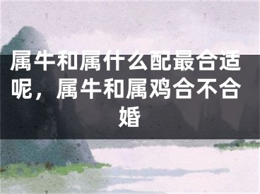 属牛和属什么配最合适呢,属牛和属鸡合不合婚